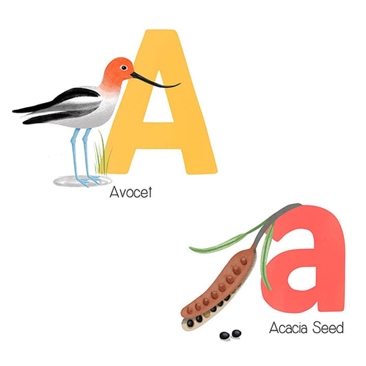 My Aussie Plants and Animals