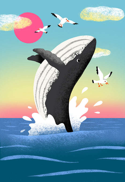 Kingswim Collectible Cards